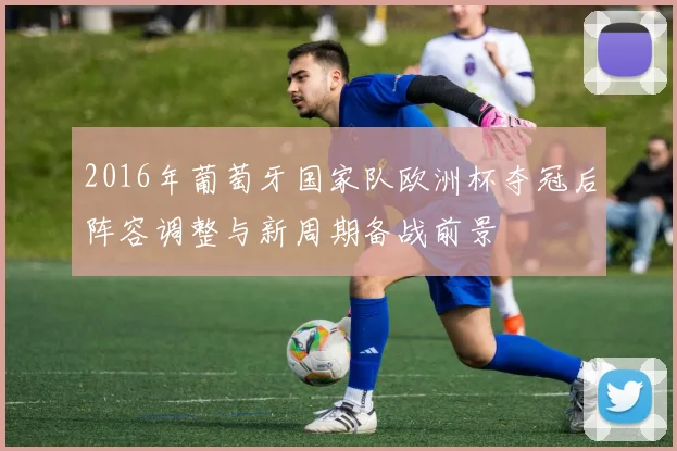 2016年葡萄牙国家队欧洲杯夺冠后阵容调整与新周期备战前景