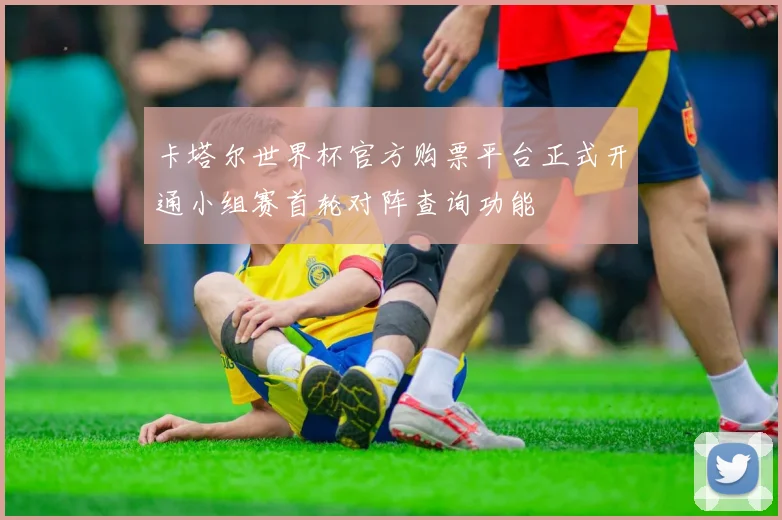 卡塔尔世界杯官方购票平台正式开通小组赛首轮对阵查询功能