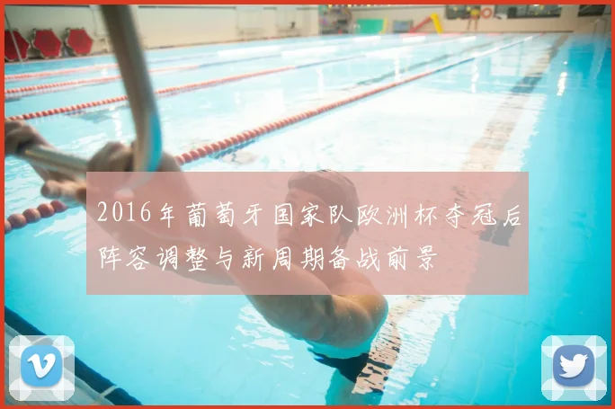 2016年葡萄牙国家队欧洲杯夺冠后阵容调整与新周期备战前景