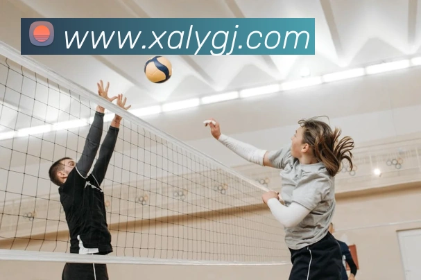 新爱体育官网服务体系