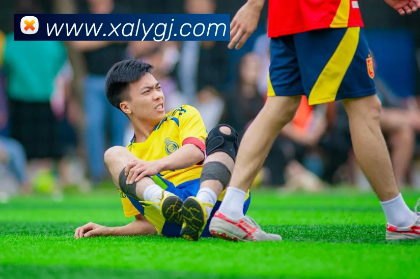 多媒体互动体验